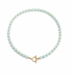 Amazonite Charm Necklace